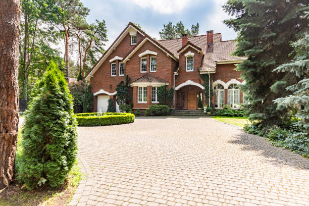 Best Custom Driveway Pavers  in Neosho, MO