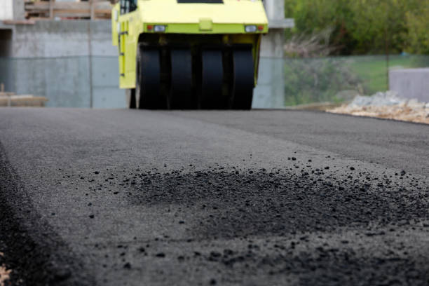 Best Driveway Pavers Near Me  in Neosho, MO