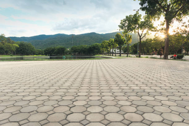 Best Brick Driveway Pavers  in Neosho, MO